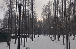 За парк разбитых фонарей в Бурятии взялась полиция