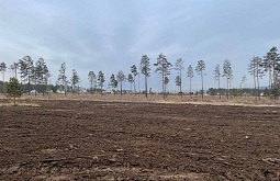 ����-�������� ������������ �������� ��� �� �������� ����� 