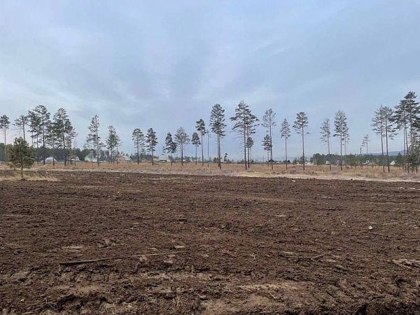 ����-�������� ������������ �������� ��� �� �������� ����� 