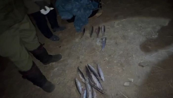 �� ������� ��������� �����������, �������� ����� ������ 