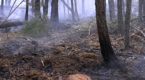 ������������ �������� ��������� ��������� � ������� 