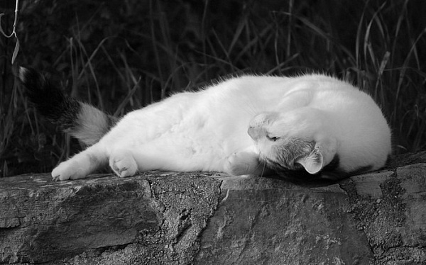 � ����-��� �������� ��������� �������� �������� �������� 