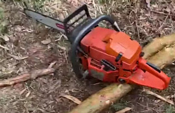 � ������� ����� ����� ���� ��������� �������� �������� 