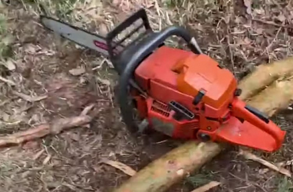 В Бурятии пункт приёма леса захламили горючими отходами 