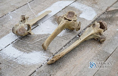 ��������� �� ������� ���� ������� �� ������� �� ���������� ��������� ����� � ����� 