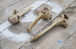 ��������� �� ������� ���� ������� �� ������� �� ���������� ��������� ����� � ����� 