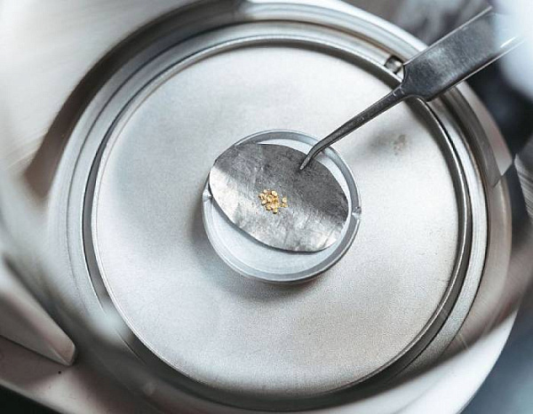 ������ ������ � ������� �����