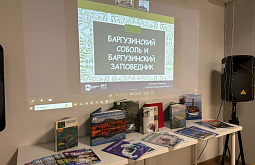 � ������� ���������� ����� �������� � ��������� �����������