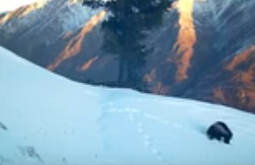 �� ������� ������� � �������� ������ �������� ������