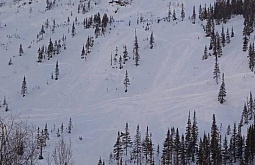 � ������� ����� �������� ������������ ������