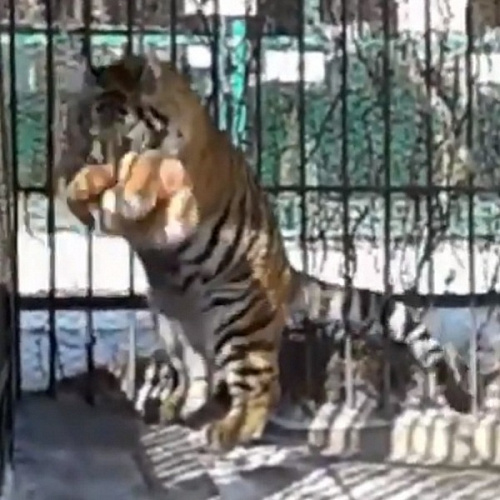 ������ ������� ��������� ��������� ������� ������