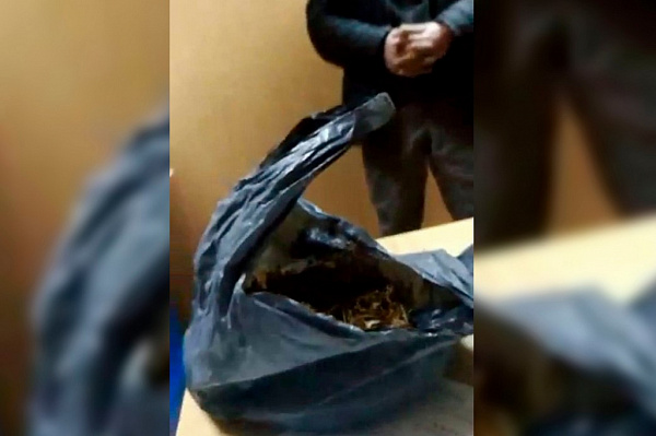 ������ ������� �������� ����� ������� ����� ��������������