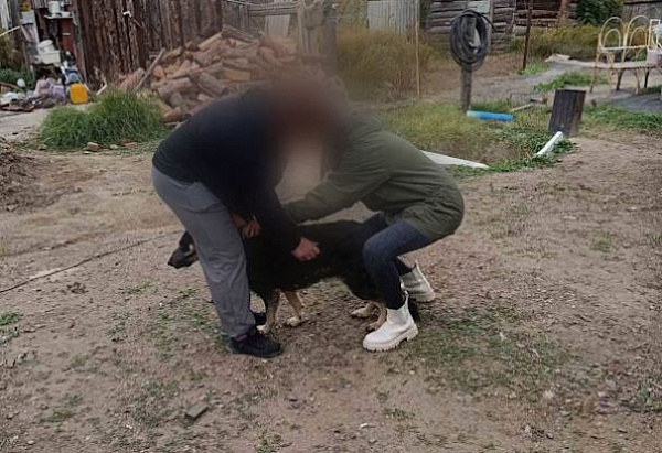 � ��������� ����-��� �������� ����� ������������� �� ���������