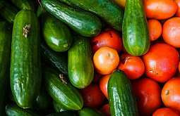 � ������� ������� ������� ������������ 