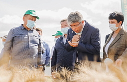 ���� �� ������, � �����: � ������� ��������� �������� �������������