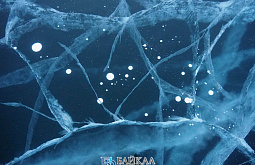 � ������� �������� ������� ������� �� ������������� ����