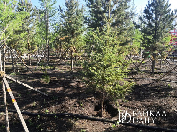 � ����� ������� �������� ����� 20 ��������� �����