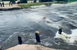 ����� ������� ������� ������� �������� �� ������� 