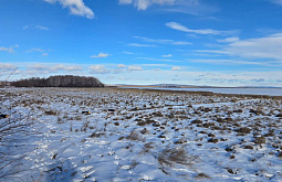 � ���������� ������ �������� ��������� �� ������ ����� � ����� 