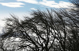 ��������� ����� �� ����� ������� ����������