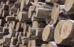 � ������� ����� �������� ��������� �� �� ������ ���� 