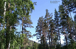 ������ ��������������� ����� ����� �� ���������� ��������������� ��������