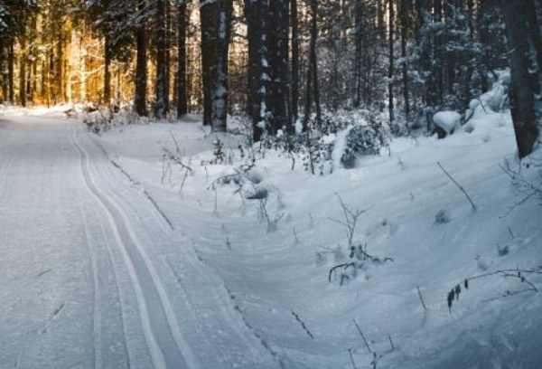 ������� ���������� � ���� � 113 �������� ����-���