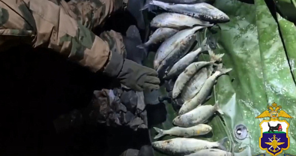 � ������� ���������� �������� ����� �� 600 ����� ������