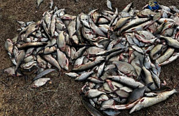 Браконьер из Читы ловил в Бурятии рыбу сетями