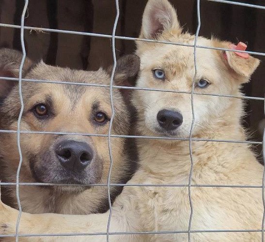 ������� ������� ����� �� ��������� � ����� ������������ 