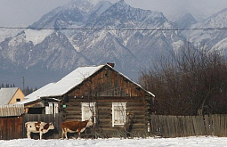 ������� ����� � ������� ��������, ��� ������ ������������ ������� ���� ���