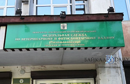 � ������� ������� ��������� �������� �� ����������� � ���������� ������ ���������