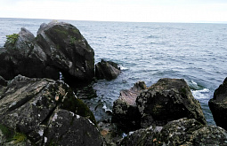 ��������� ���� �������� �� ������� 