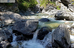 ��������� ���� ���������, ��� ��������� �������� ���� �� �������