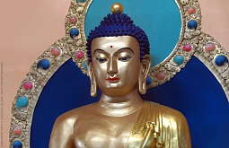 ������� ������� ������������ ���� �� ������ ������