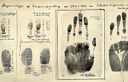 ��� �������� ������ ��������-������������ ������ ���� �����, �������� � �������