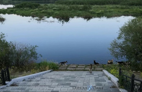 � ����-��� ����� ����� ���������� ���������� 