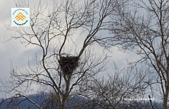 � ������� ���������� ������ ������������� �����-�����������