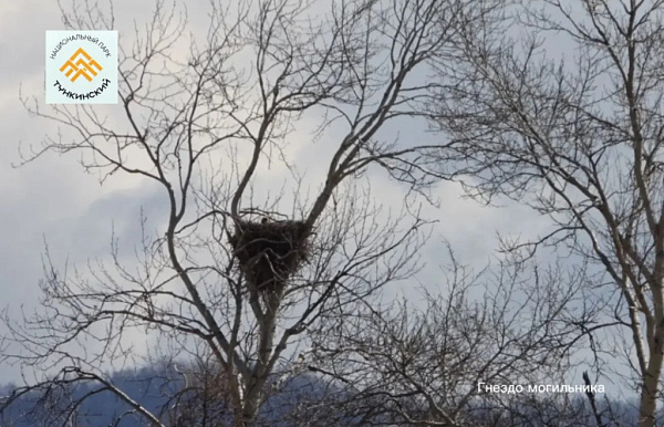 � ������� ���������� ������ ������������� �����-�����������