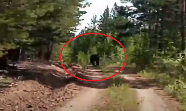 � ������� ������� ������ �� ��������. ����� 