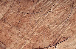 � ������� ������� ��������� ����������� ������������� 