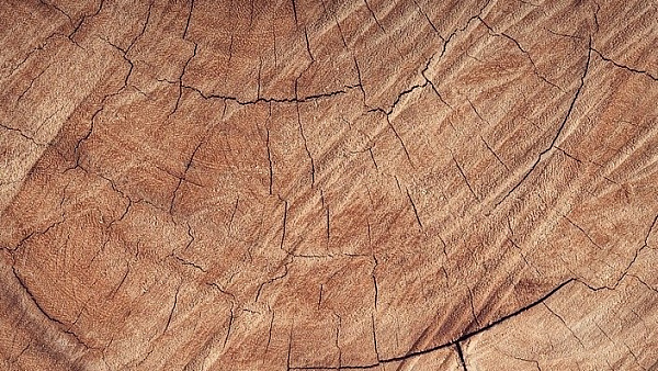 � ������� ������� ��������� ����������� ������������� 