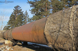 ����� ����-��� ��������� ��������� � 15 ��� �������� ����� ��� ����-14�