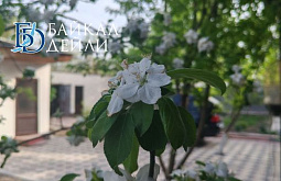 ������ ������ ����-������ ������� ������� ��������� ����