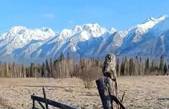 � ������� ������� ������������� ������ �����