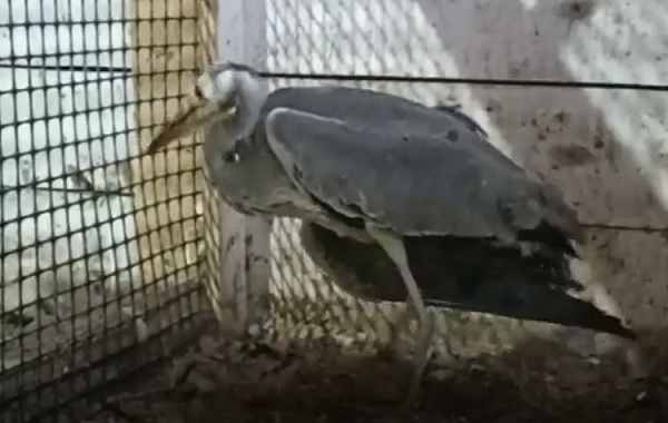 � ������� ����� ����� ������ �� ��� �����  