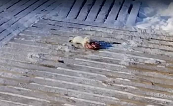 � ������� ��������� ������ � �������������� ����� ���� 