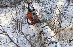 В нацпарке Бурятии зафиксированы случаи незаконной вырубки леса