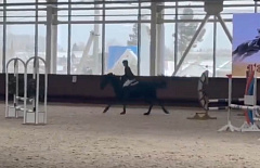 ��������� �� ������� ������� ��������� � ��������