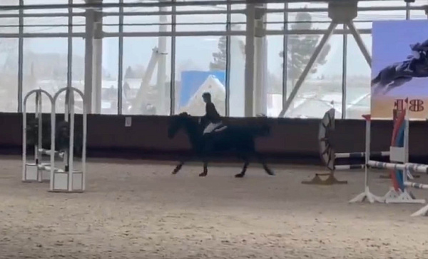 ��������� �� ������� ������� ��������� � ��������